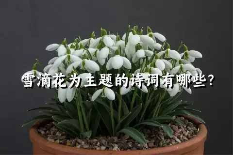 雪滴花为主题的诗词有哪些？