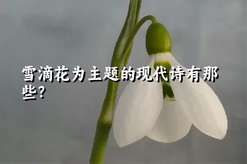 雪滴花为主题的现代诗有那些？