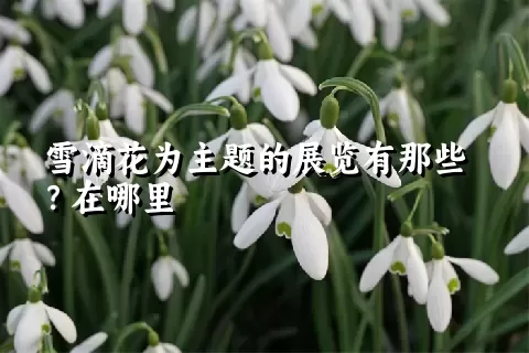 雪滴花为主题的展览有那些？在哪里