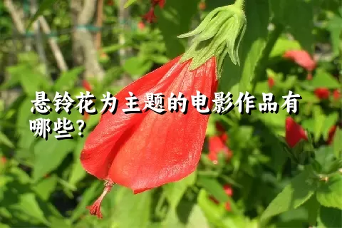 悬铃花为主题的电影作品有哪些？