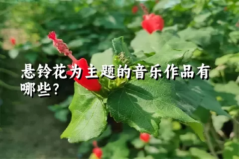 悬铃花为主题的音乐作品有哪些？