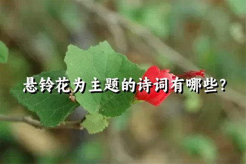 悬铃花为主题的诗词有哪些？