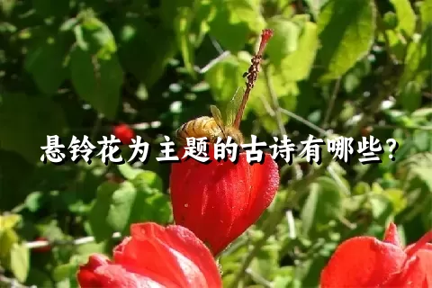 悬铃花为主题的古诗有哪些？