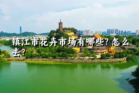 镇江市花卉市场有哪些？怎么去？