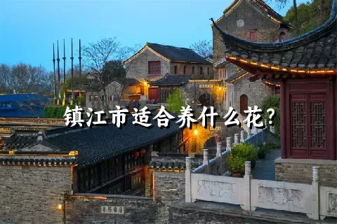 镇江市适合养什么花？