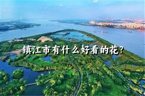 镇江市有什么好看的花？