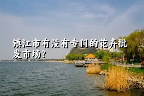 镇江市有没有专门的花卉批发市场？