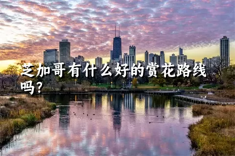 芝加哥有什么好的赏花路线吗？