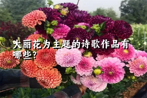 大丽花为主题的诗歌作品有哪些？