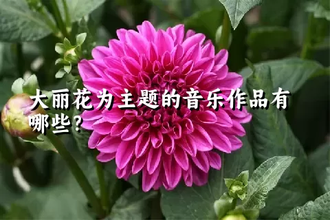 大丽花为主题的音乐作品有哪些？