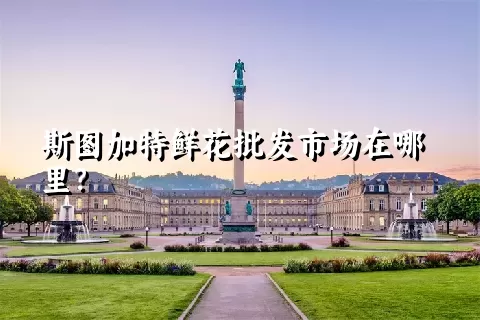 斯图加特鲜花批发市场在哪里？