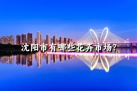 沈阳市有哪些花卉市场？