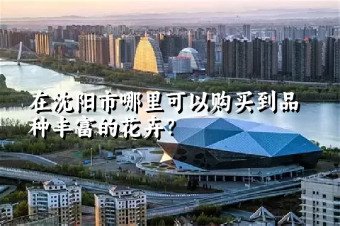 在沈阳市哪里可以购买到品种丰富的花卉？