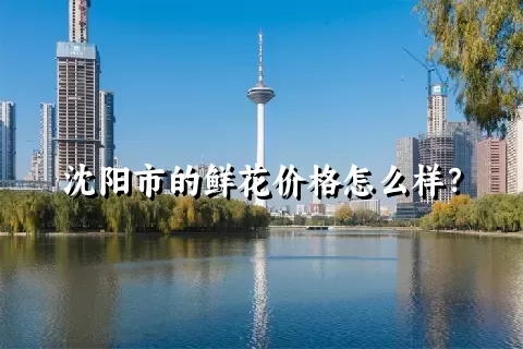 沈阳市的鲜花价格怎么样？