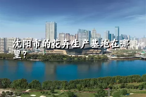 沈阳市的花卉生产基地在哪里？