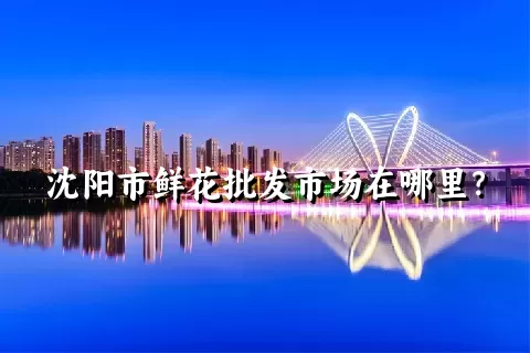 沈阳市鲜花批发市场在哪里？