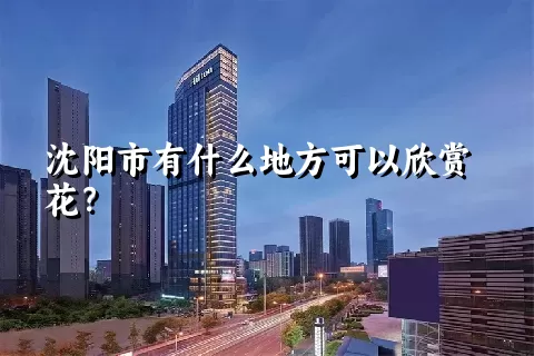 沈阳市有什么地方可以欣赏花？