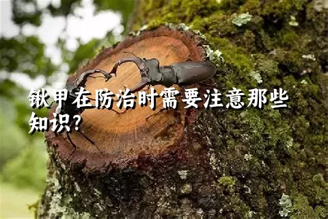 锹甲在防治时需要注意那些知识？