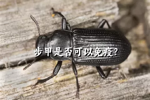 步甲是否可以免疫？