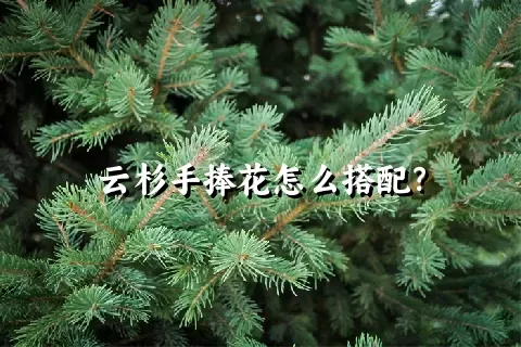 云杉手捧花怎么搭配？