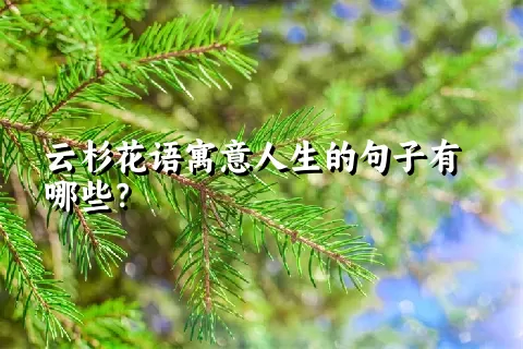 云杉花语寓意人生的句子有哪些？