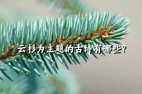 云杉为主题的古诗有哪些？