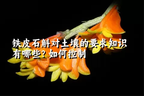 铁皮石斛对土壤的要求知识有哪些？如何控制