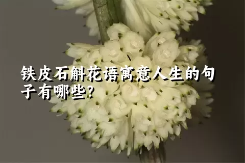 铁皮石斛花语寓意人生的句子有哪些？