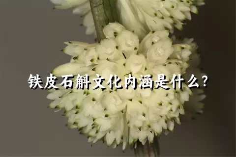 铁皮石斛文化内涵是什么？