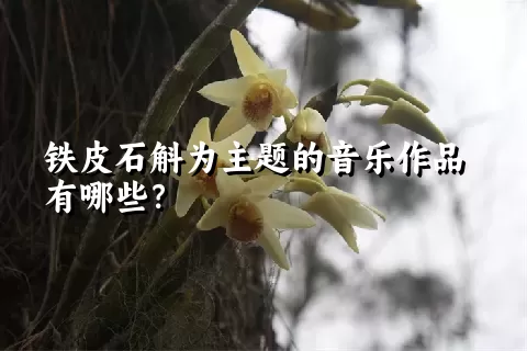 铁皮石斛为主题的音乐作品有哪些？