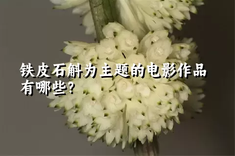 铁皮石斛为主题的电影作品有哪些？