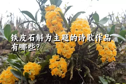 铁皮石斛为主题的诗歌作品有哪些？