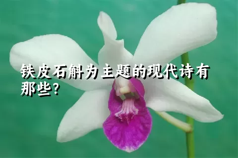 铁皮石斛为主题的现代诗有那些？