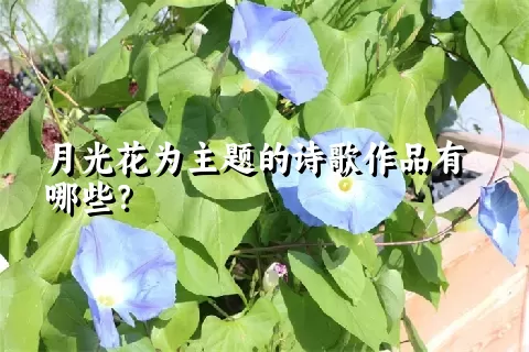 月光花为主题的诗歌作品有哪些？