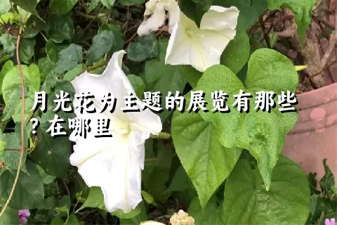 月光花为主题的展览有那些？在哪里