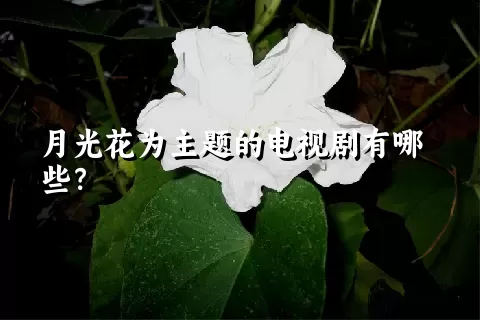 月光花为主题的电视剧有哪些？