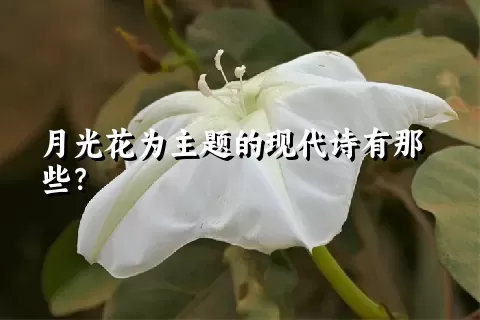 月光花为主题的现代诗有那些？