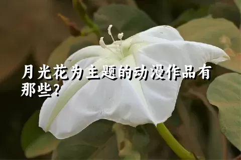 月光花为主题的动漫作品有那些？