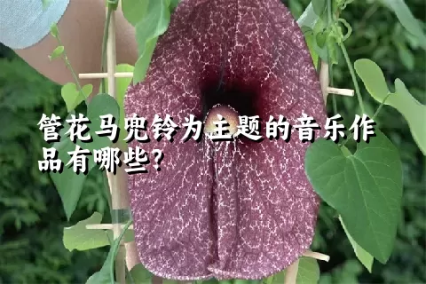 管花马兜铃为主题的音乐作品有哪些？