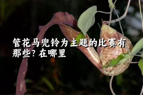 管花马兜铃为主题的比赛有那些？在哪里