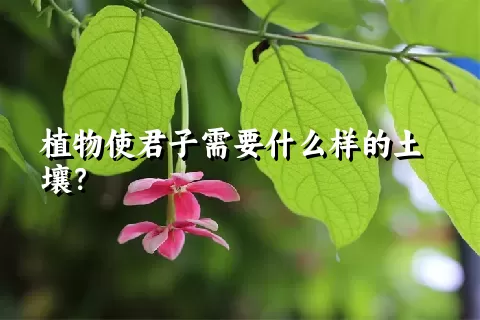 植物使君子需要什么样的土壤？