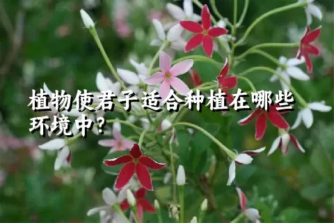 植物使君子适合种植在哪些环境中？