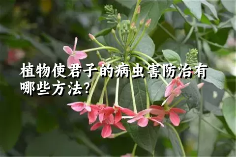 植物使君子的病虫害防治有哪些方法？