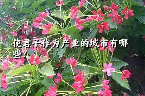 使君子作为产业的城市有哪些？