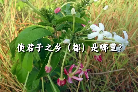 使君子之乡（都）是哪里？