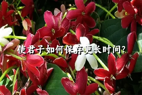 使君子如何保存更长时间？