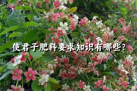 使君子肥料要求知识有哪些？