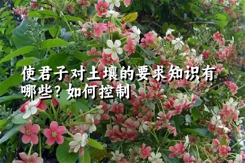 使君子对土壤的要求知识有哪些？如何控制