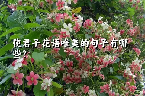 使君子花语唯美的句子有哪些？