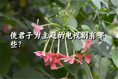 使君子为主题的电视剧有哪些？